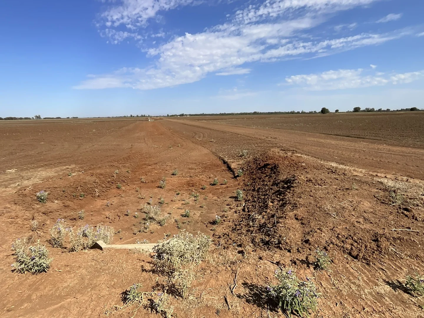 Additional image 7 of 401 Hogan Road, Whitton NSW 2705