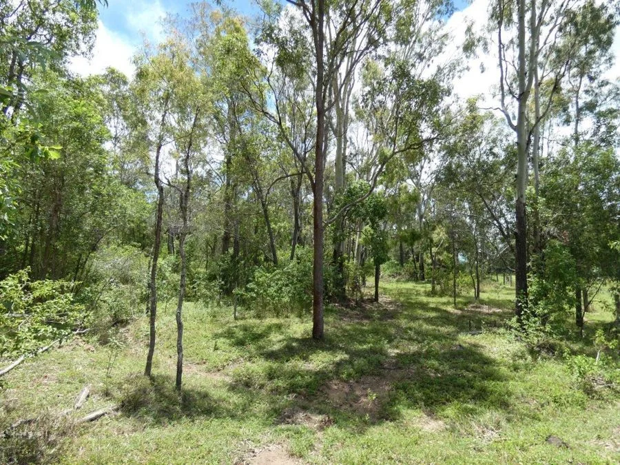 Additional image 28 of 277 Bushlands Road, Bororen QLD 4678