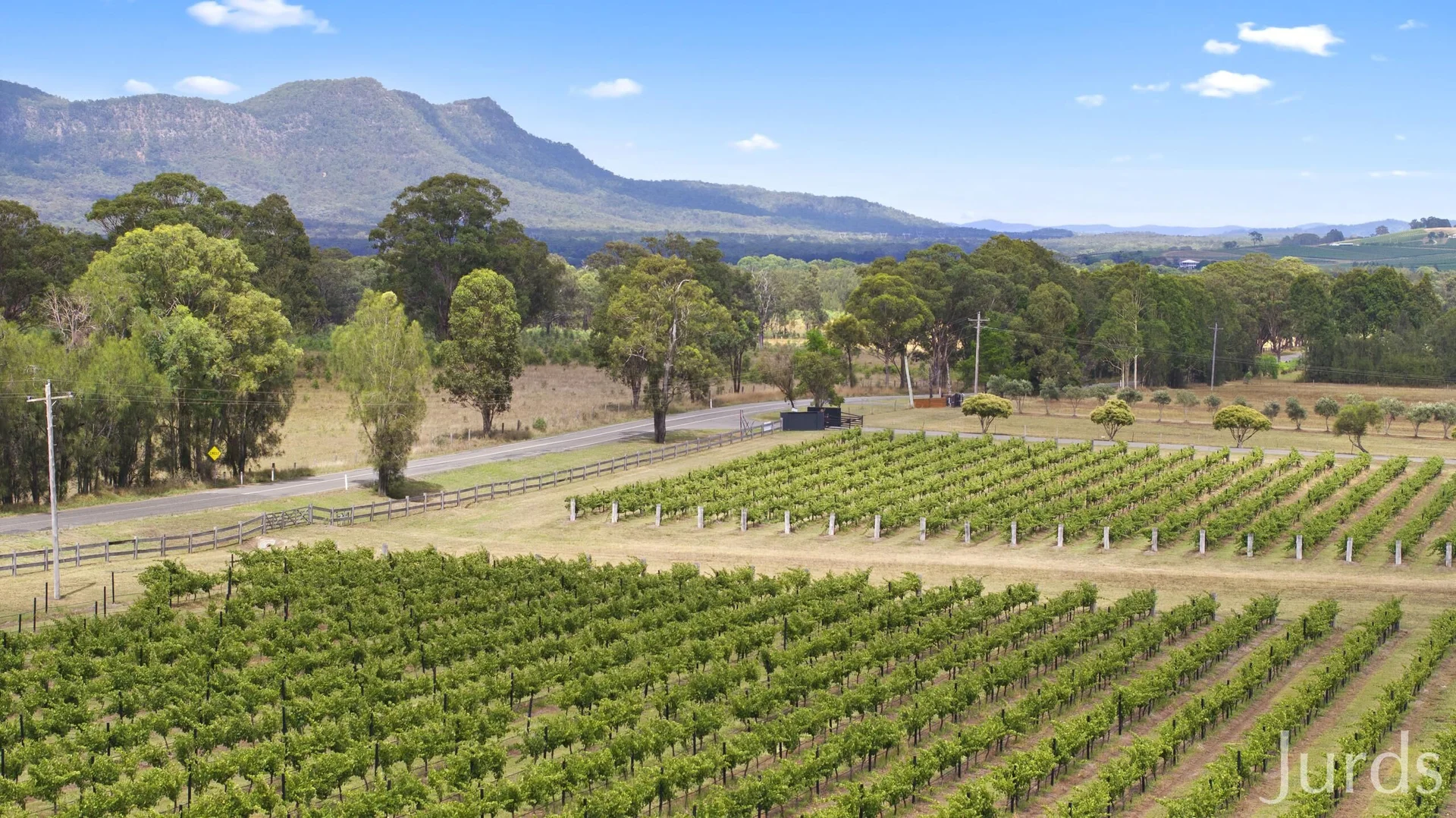 Additional image 3 of 223 Deasys Road, Pokolbin NSW 2320