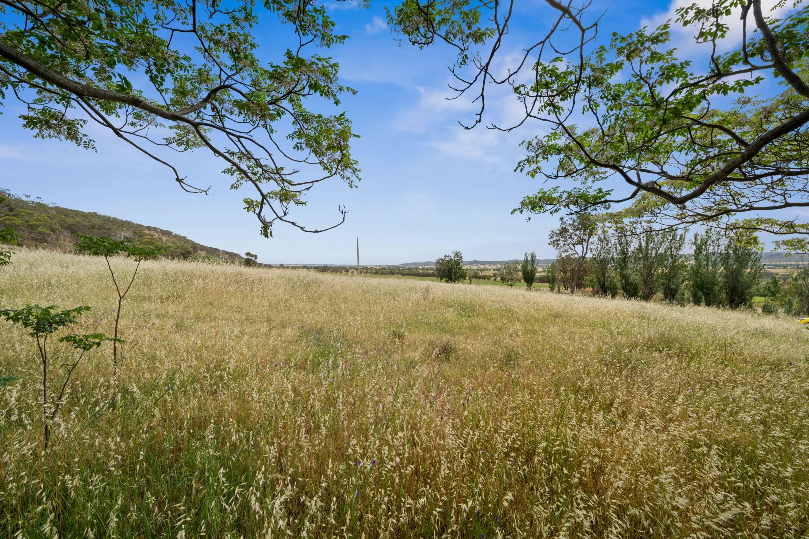 Additional image 14 of 82 Brack Road, Taminick VIC 3675