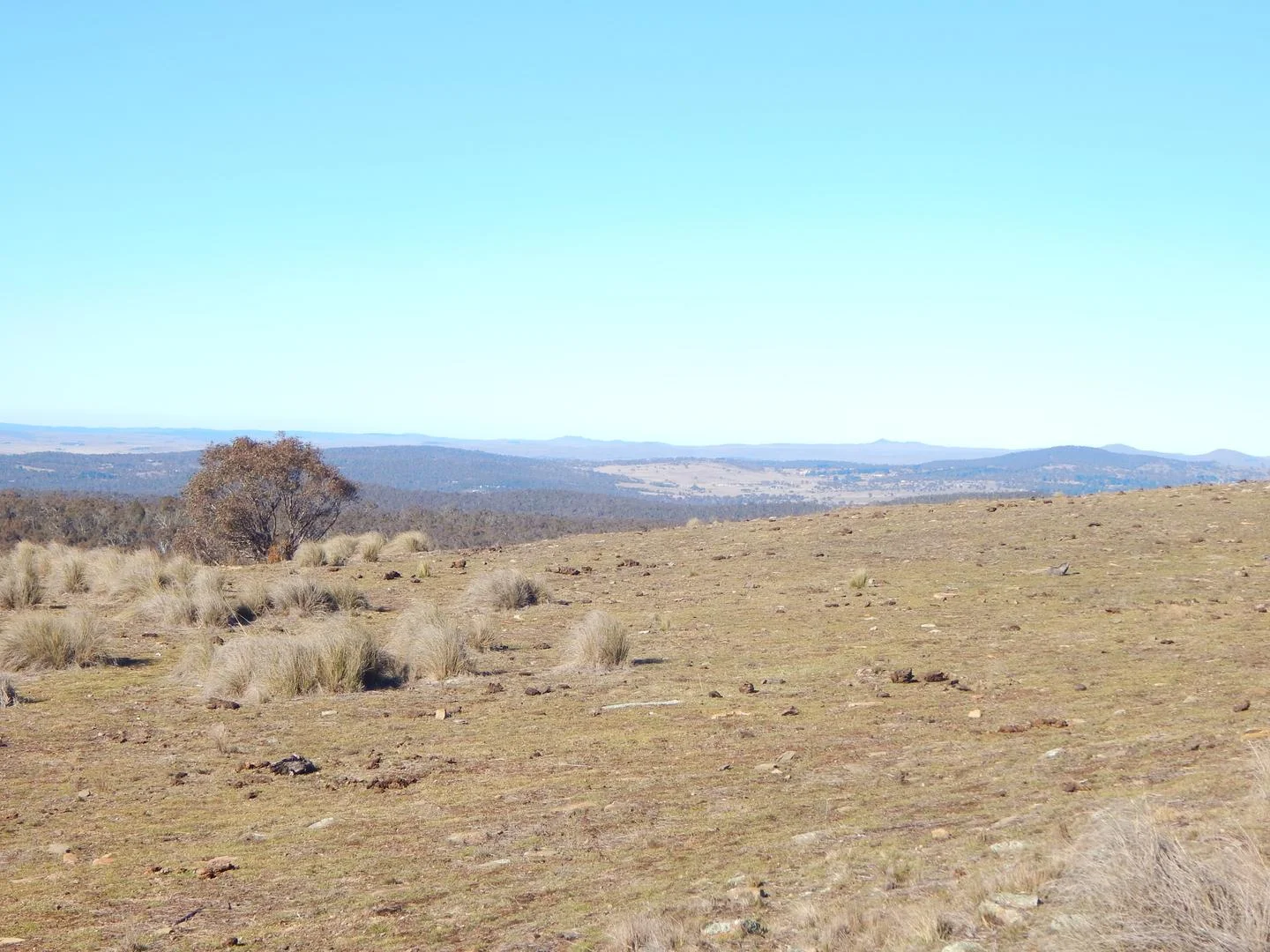 Additional image 2 of 200 Muddah Lake Road, Cooma NSW 2630