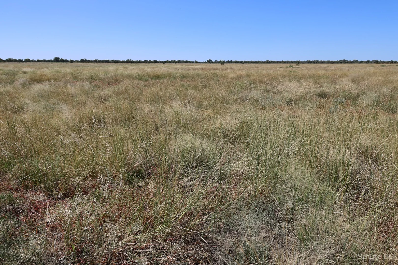 Additional image 20 of 645 Kamilaroi Highway, Bourke NSW 2840