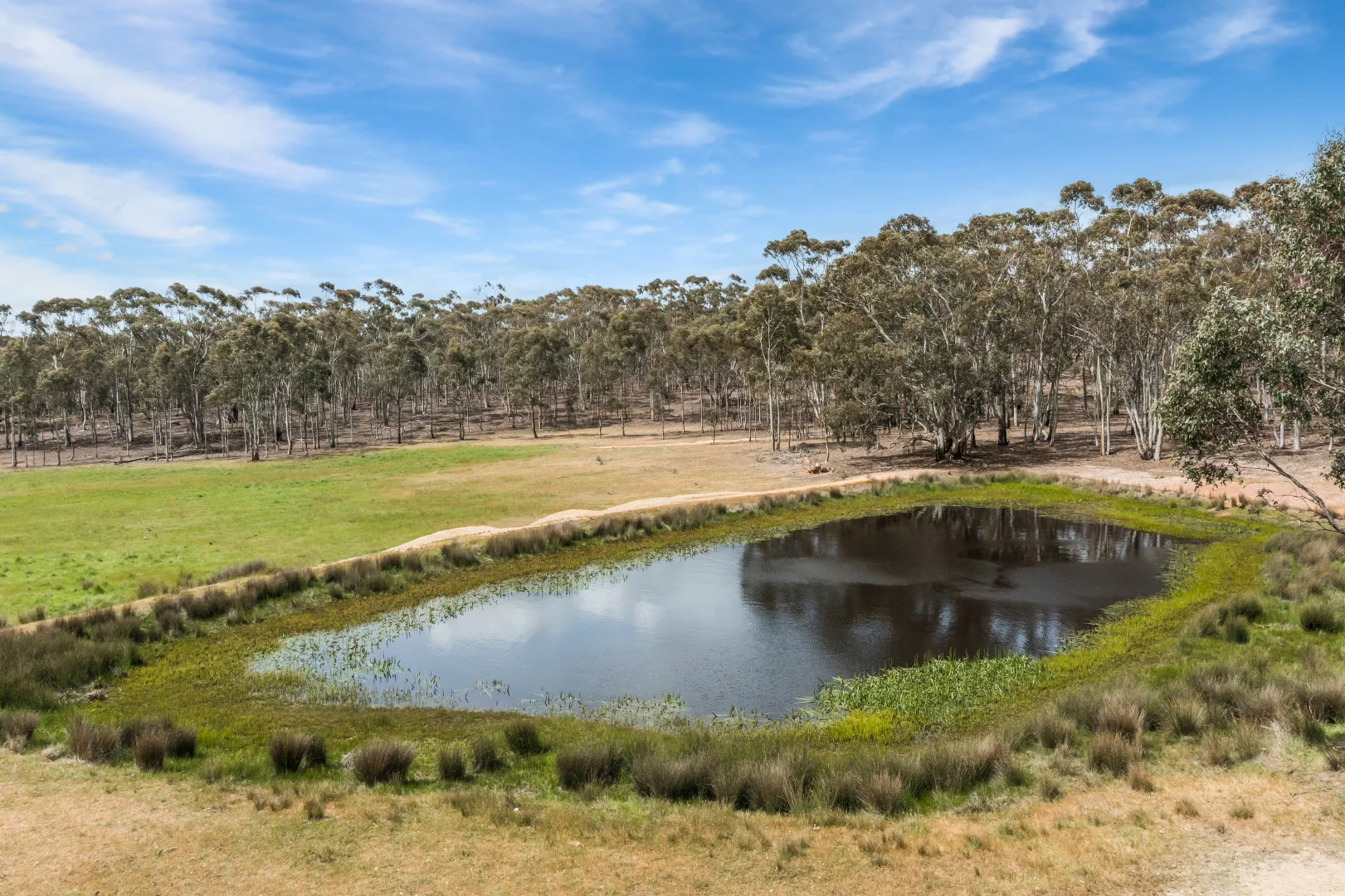 Additional image 16 of 503 Mia Mia-Derrinal Road, Heathcote VIC 3523