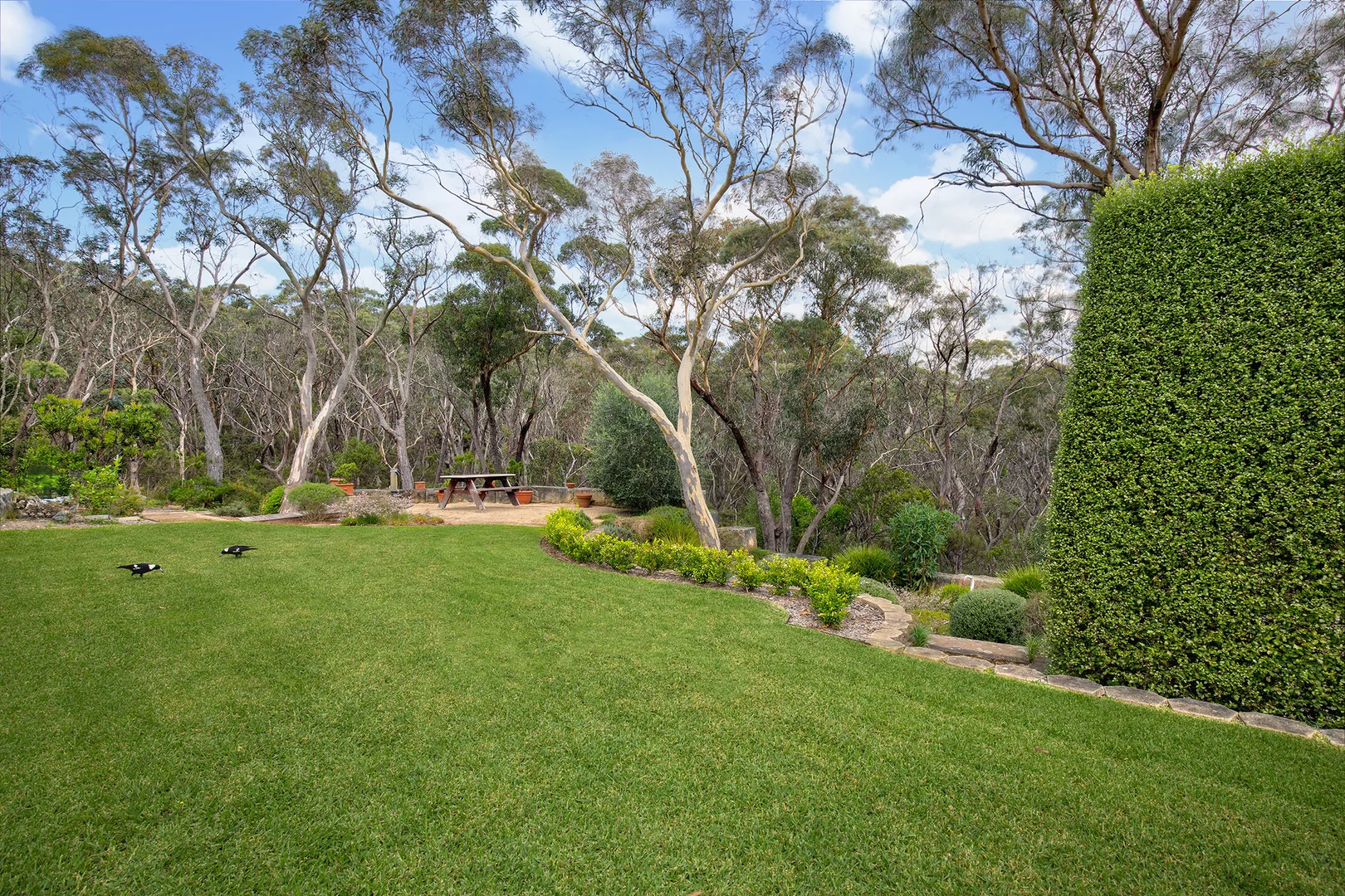 Additional image 15 of 102 Stuarts Road, Katoomba NSW 2780