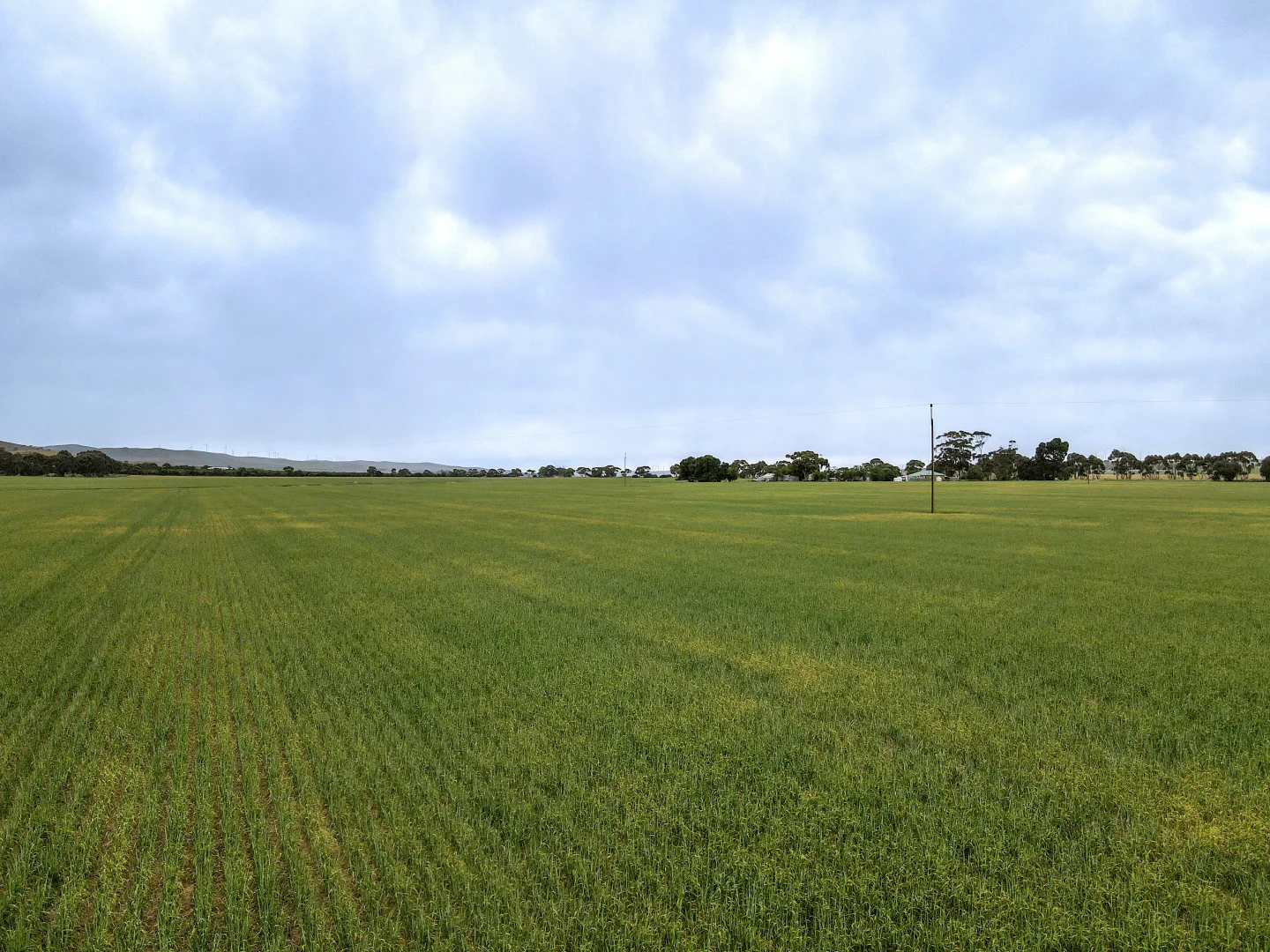 Additional image 4 of 'Lucerne Park' Booborowie Rd, Booborowie SA 5417