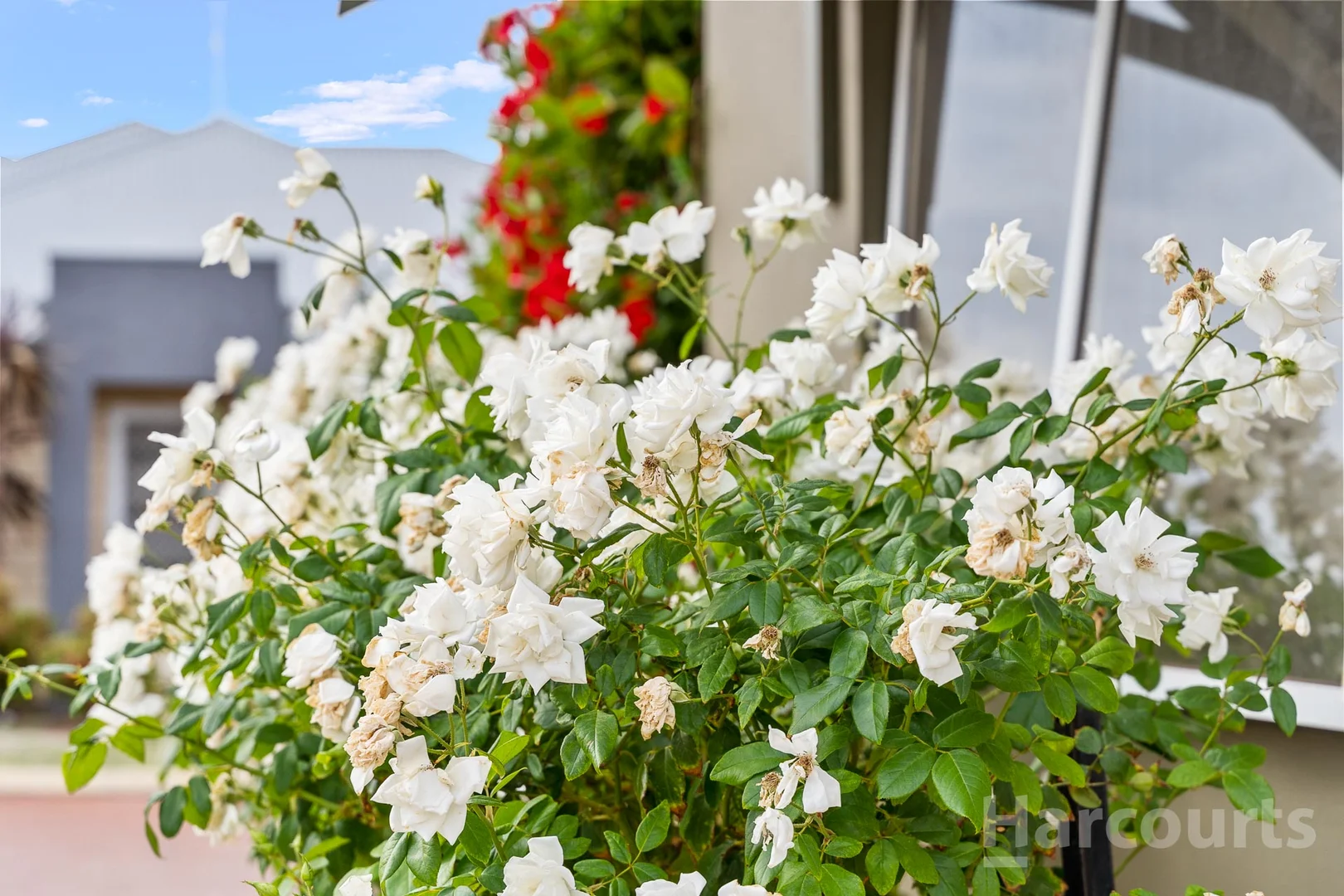 Additional image 31 of 20/21 Southmead Green, Erskine WA 6210