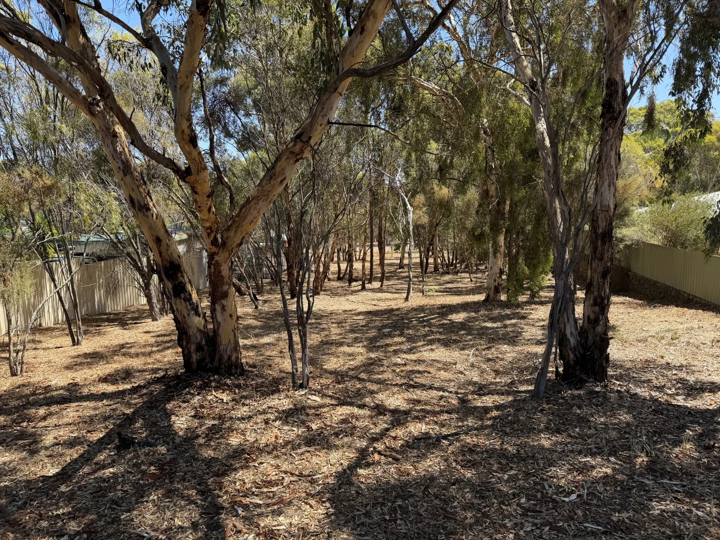 Additional image 2 of 17 Nangip Crescent, Darkan WA 6392