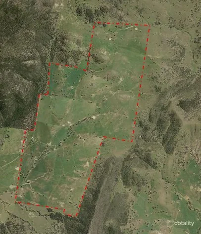 Additional image 22 of "Babynda" 829 Eulimore Road, Eugowra NSW 2806