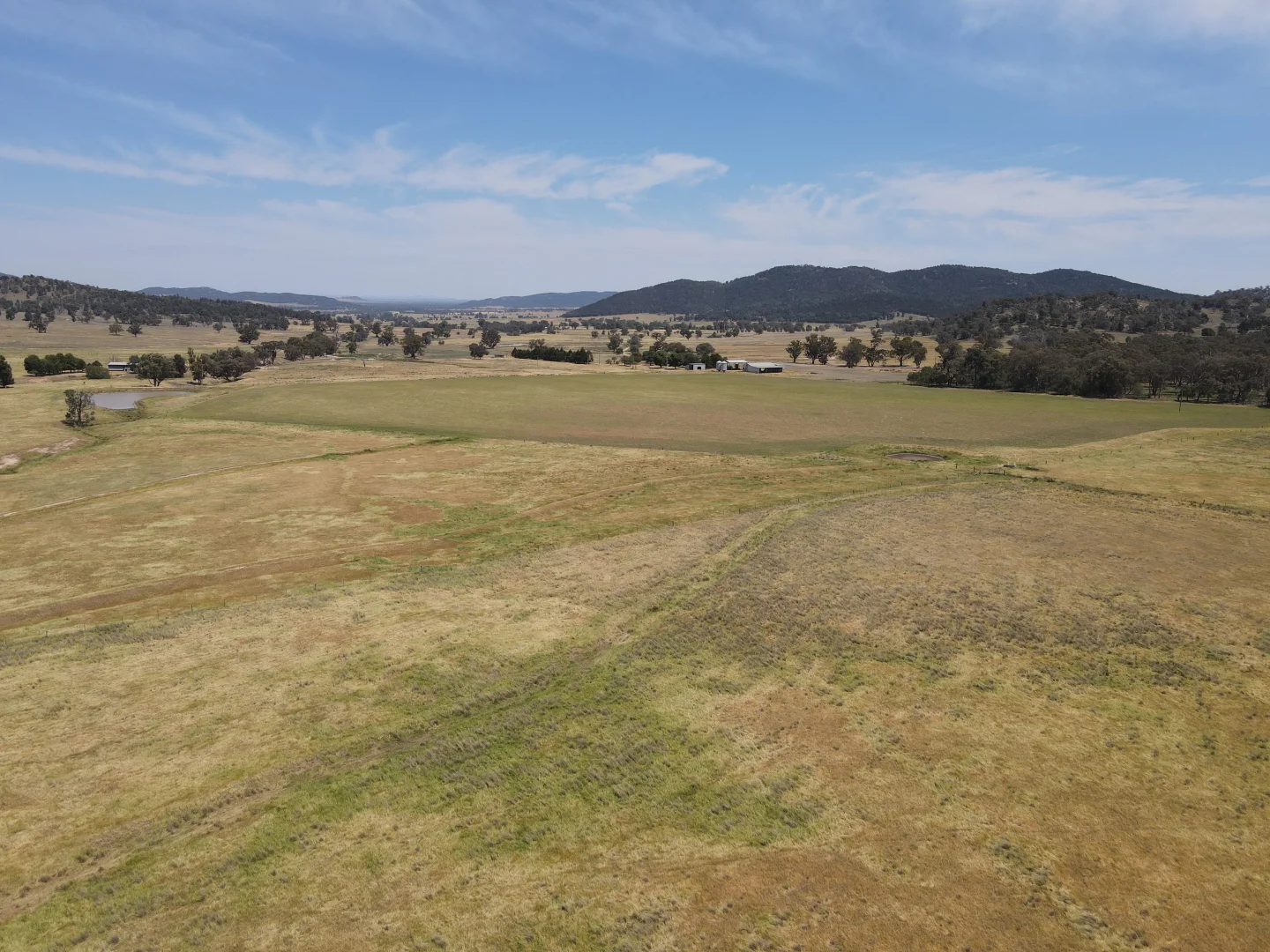 Additional image 13 of "Babynda" 829 Eulimore Road, Eugowra NSW 2806