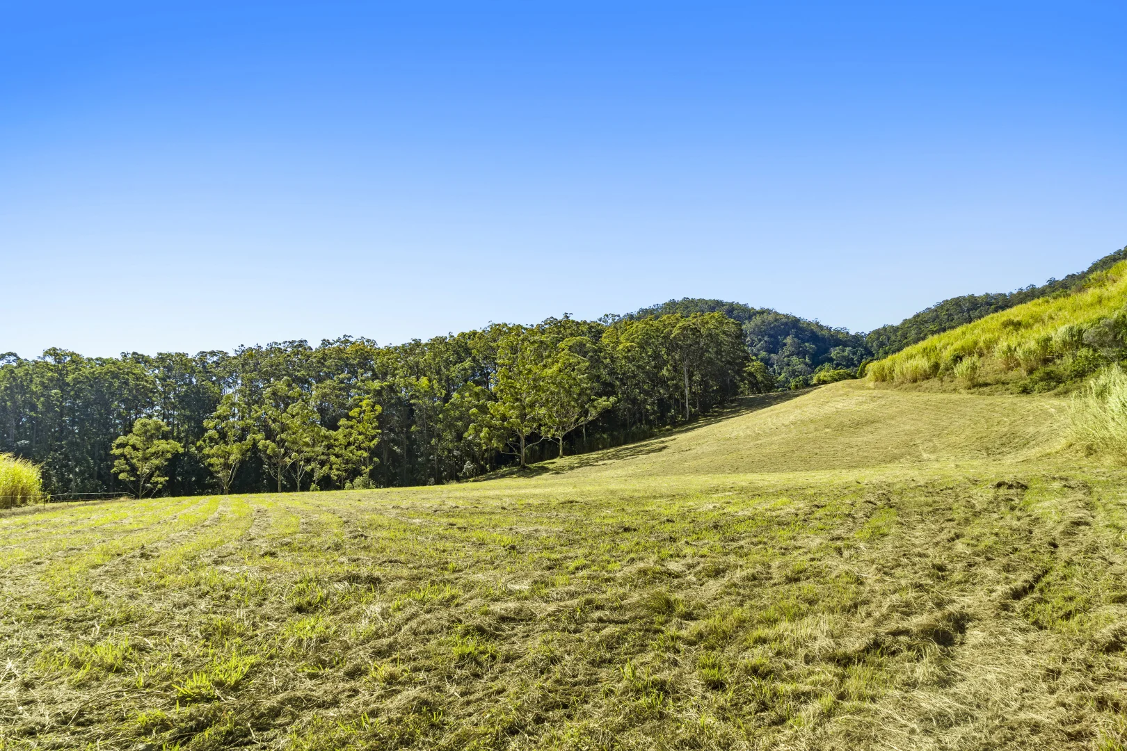 Additional image 13 of 193 Petsch Creek Road, Tallebudgera Valley QLD 4228