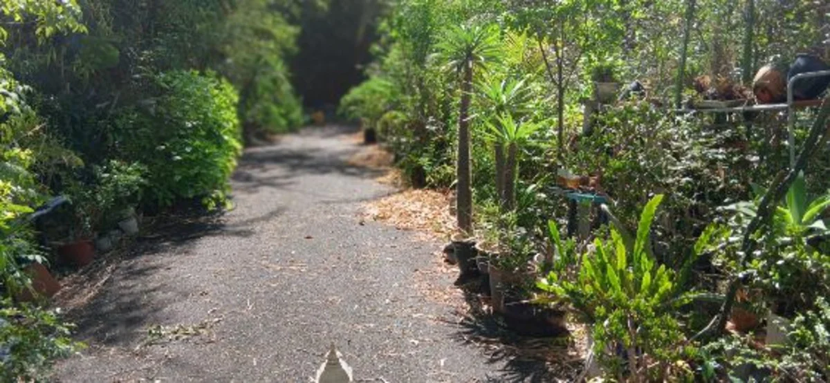 Additional image 14 of 1 Top End Mines Road, Torbanlea QLD 4662