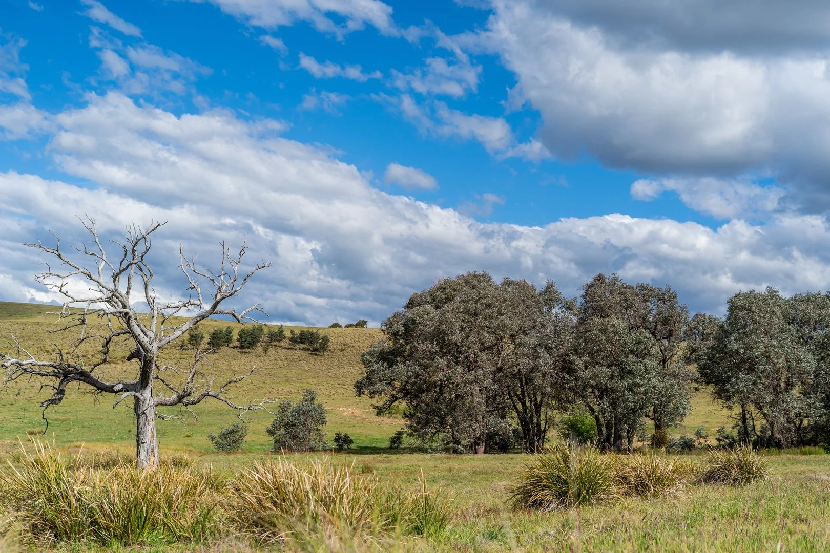 Additional image 6 of Lot 2 838 Murrumbateman Road, Nanima NSW 2582