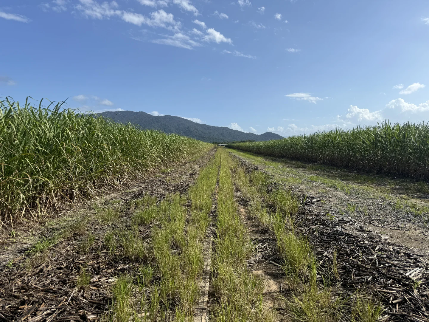 Additional image 10 of Midgenoo QLD 4854