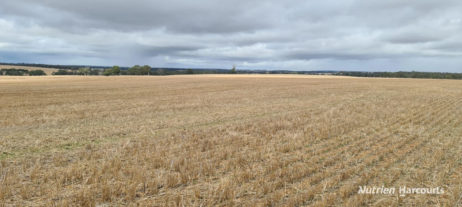 Additional image 7 of Lot 347 Yarralena Road, Cranbrook WA 6321