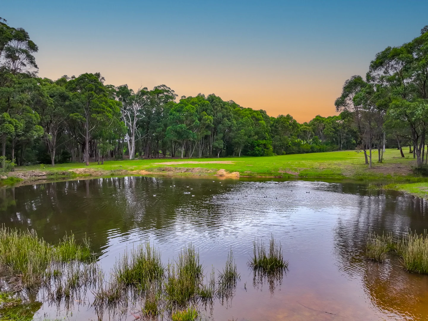 Additional image 19 of 1445-1455 Barkers Lodge Road, Oakdale NSW 2570