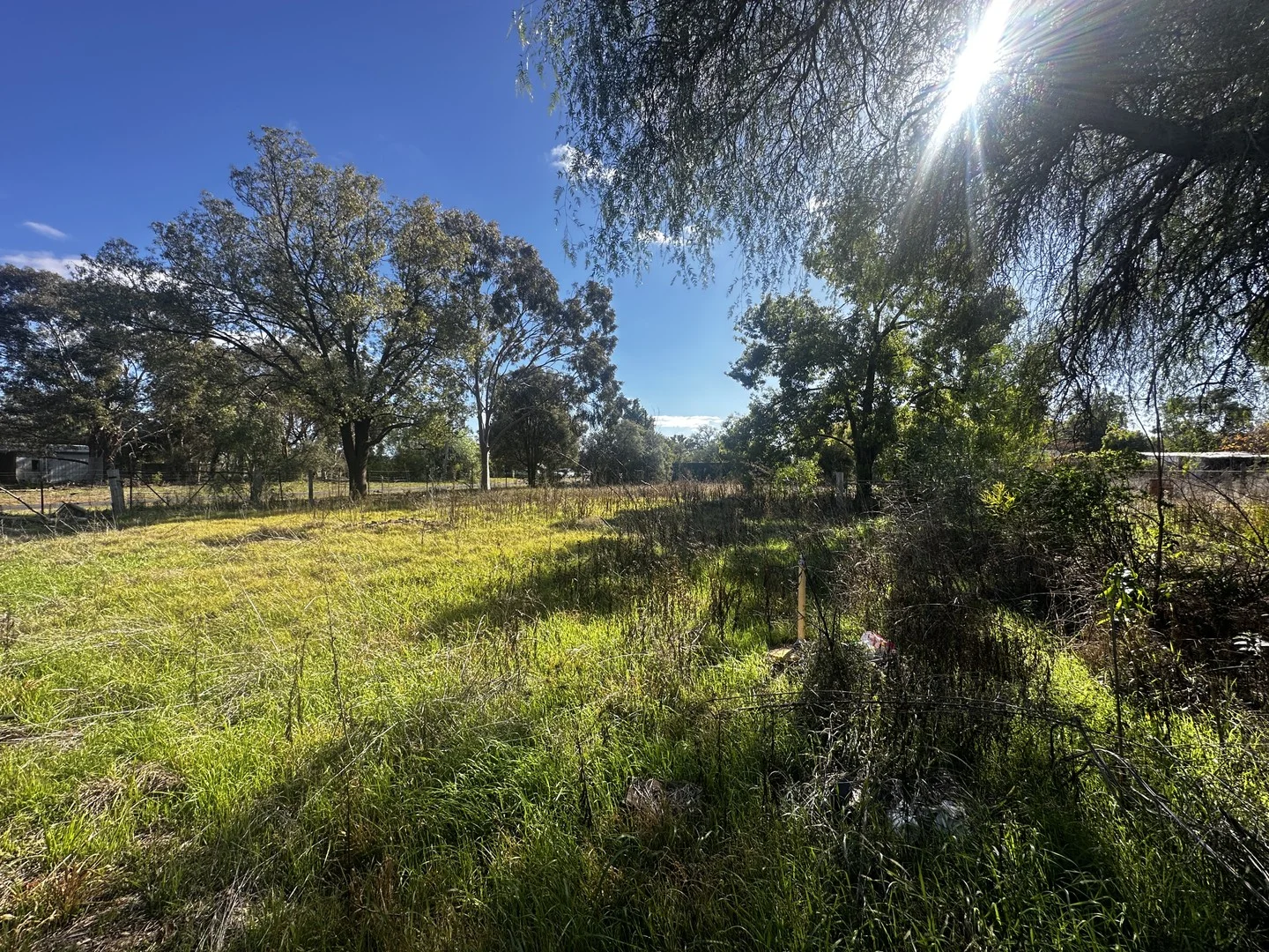 West Street, Trundle NSW 2875