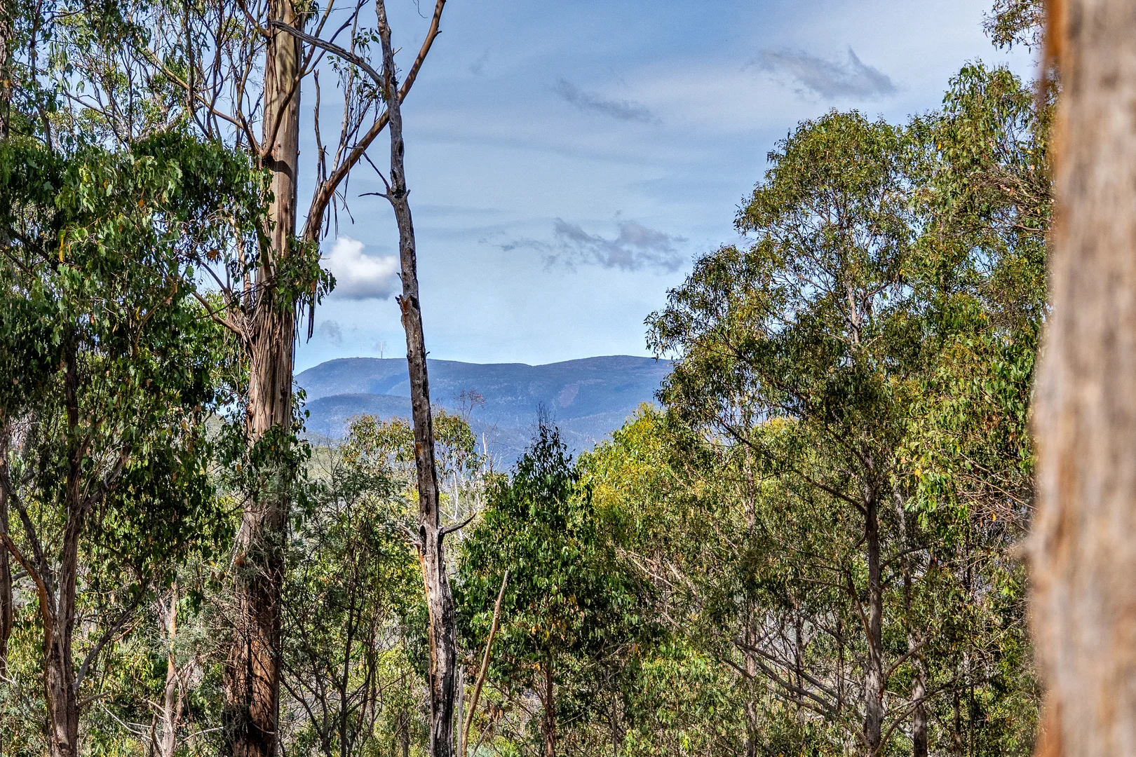 Additional image 37 of 1 Douglas Road, Molesworth TAS 7140