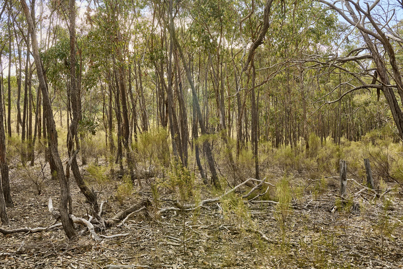 Additional image 4 of CA 37H Kuhlemans Track, Heathcote VIC 3523