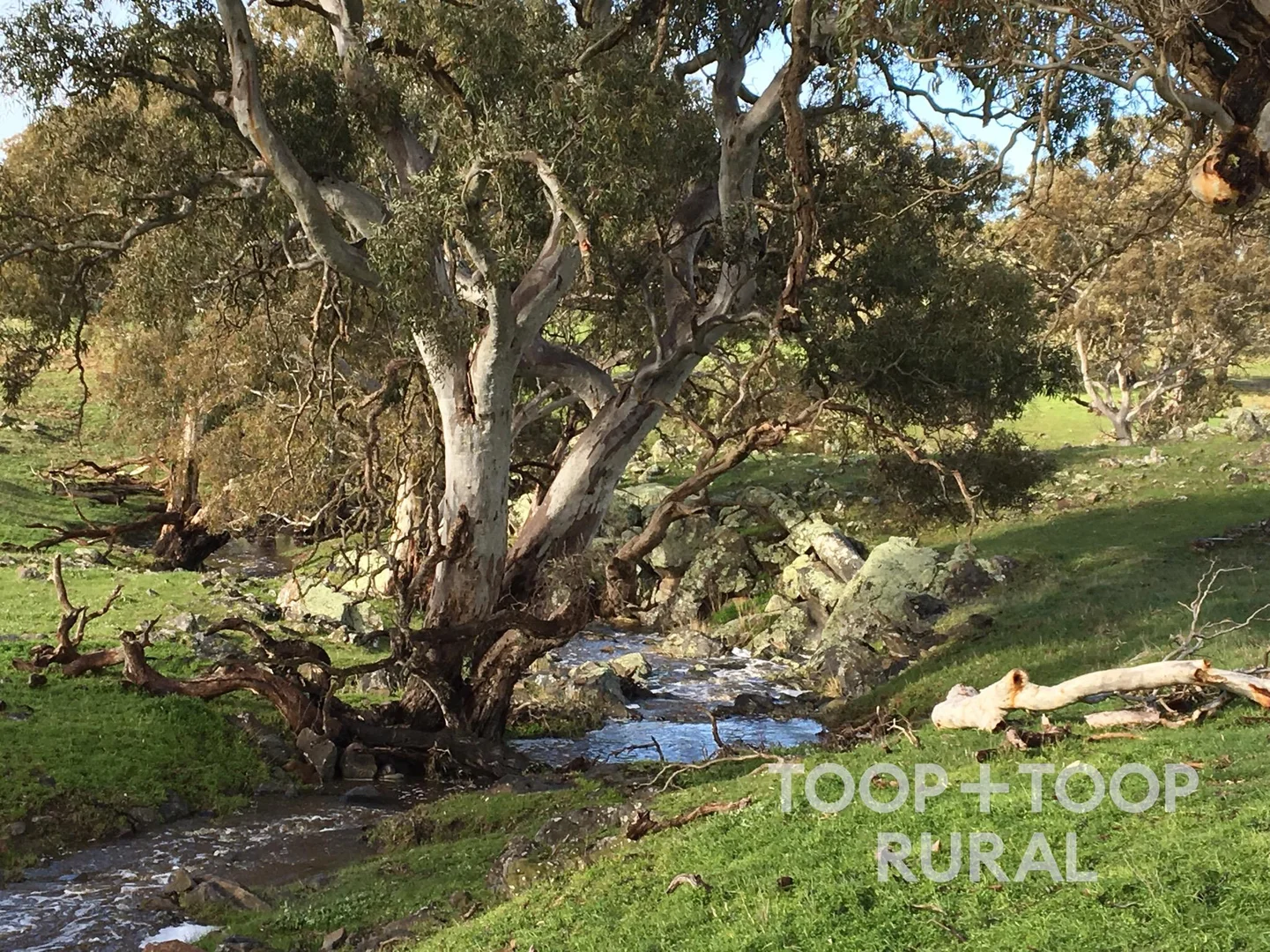 Additional image 23 of 70 Scottsburn Road, Woodside SA 5244