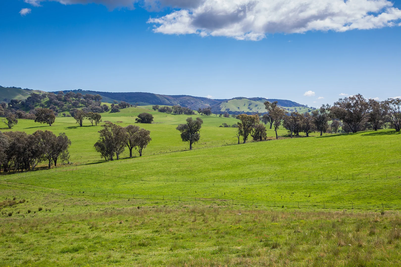 Additional image 19 of Holbrook NSW 2644