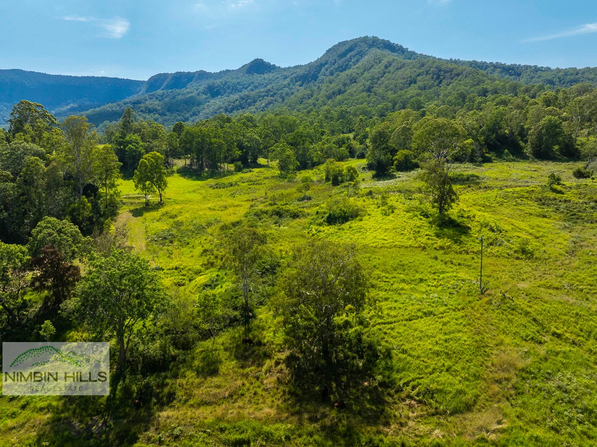 Additional image 27 of 876 Green Pigeon Road, Green Pigeon NSW 2474