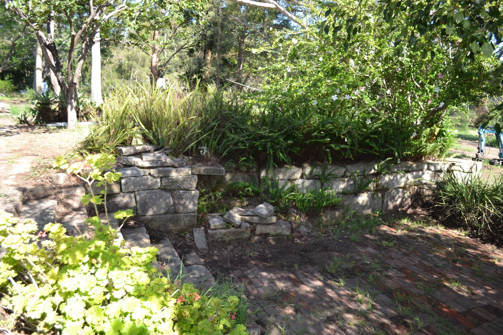 Additional image 6 of 22 Wesley Street, Bolwarra Heights NSW 2320