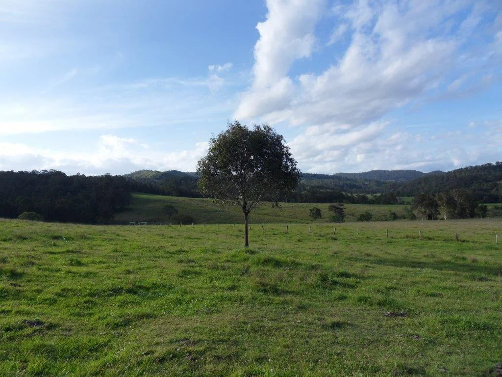 Additional image 20 of 665 Theresa Creek Road, Theresa Creek NSW 2469