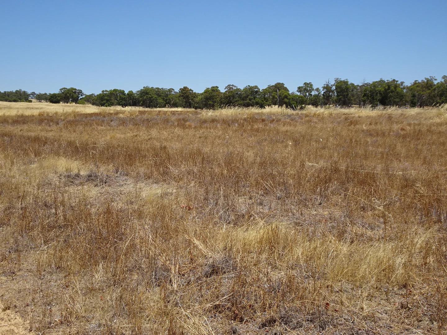 Additional image 14 of 160 Chittleborough Road, Brookton WA 6306