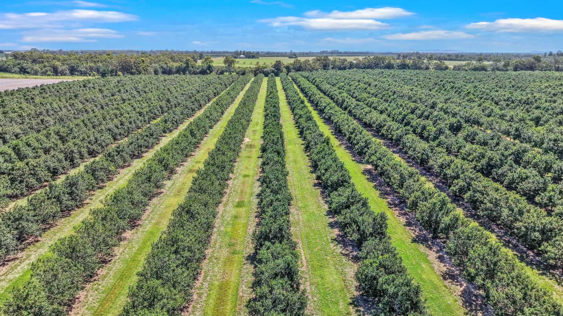 Additional image 12 of 195 Pashleys Road, Welcome Creek QLD 4670