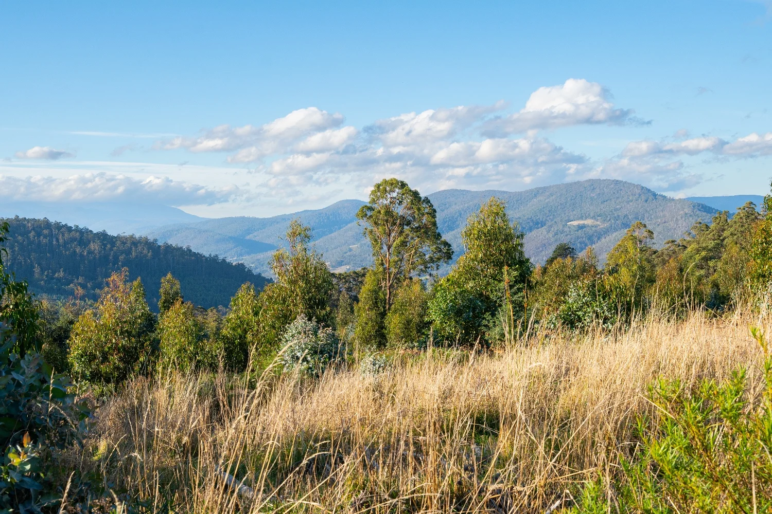 Lot 6 Paddys Lane, Franklin TAS 7113