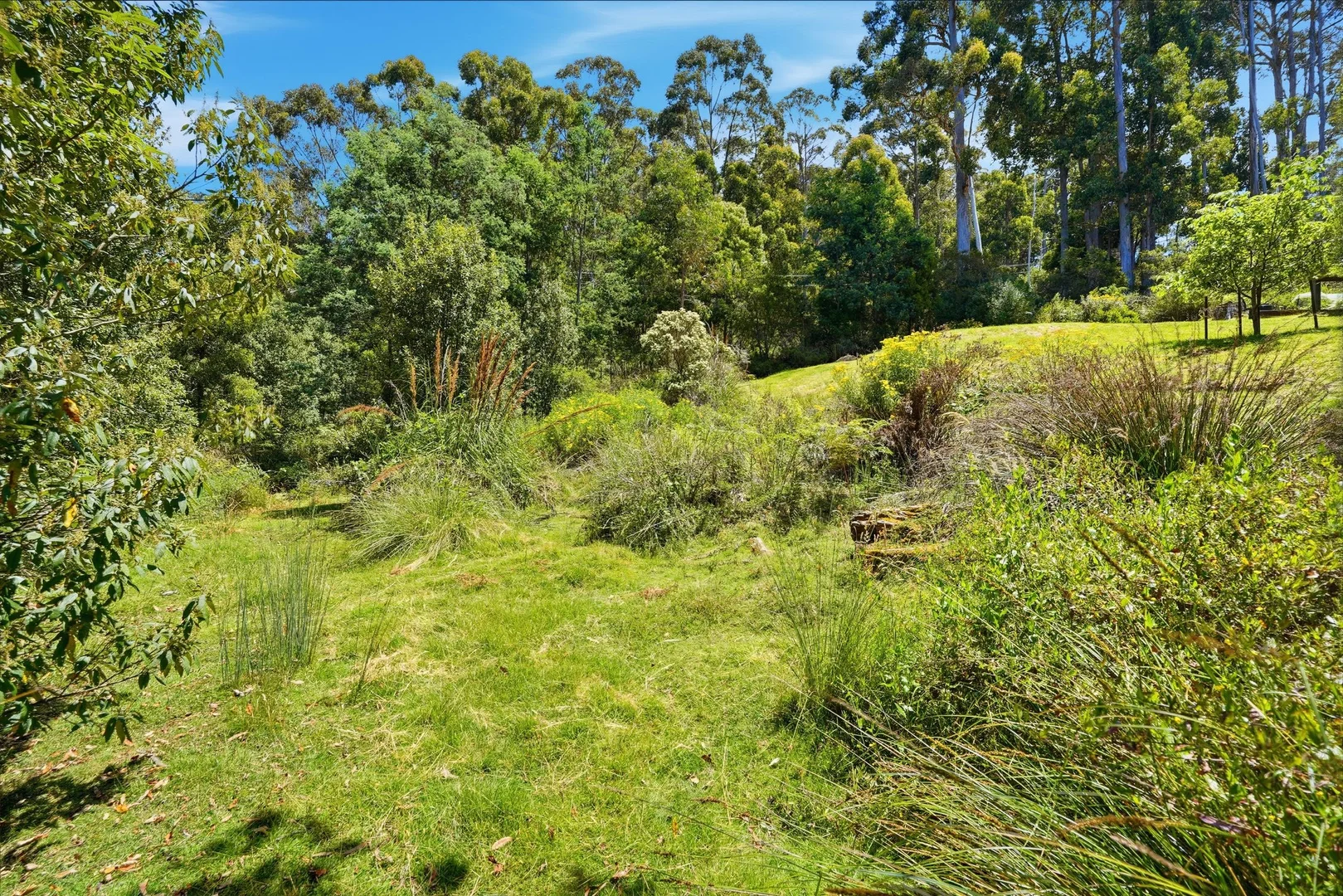 Additional image 6 of Lots 8 & 9 Esperance Coast Road, Dover TAS 7117