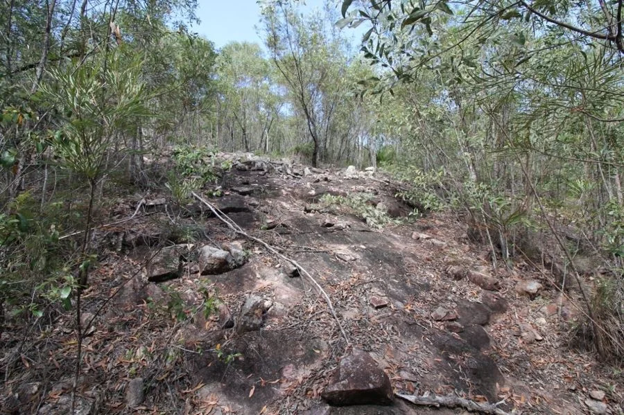 Additional image 24 of Lot 26 Tableland Road, Mount Maria QLD 4674