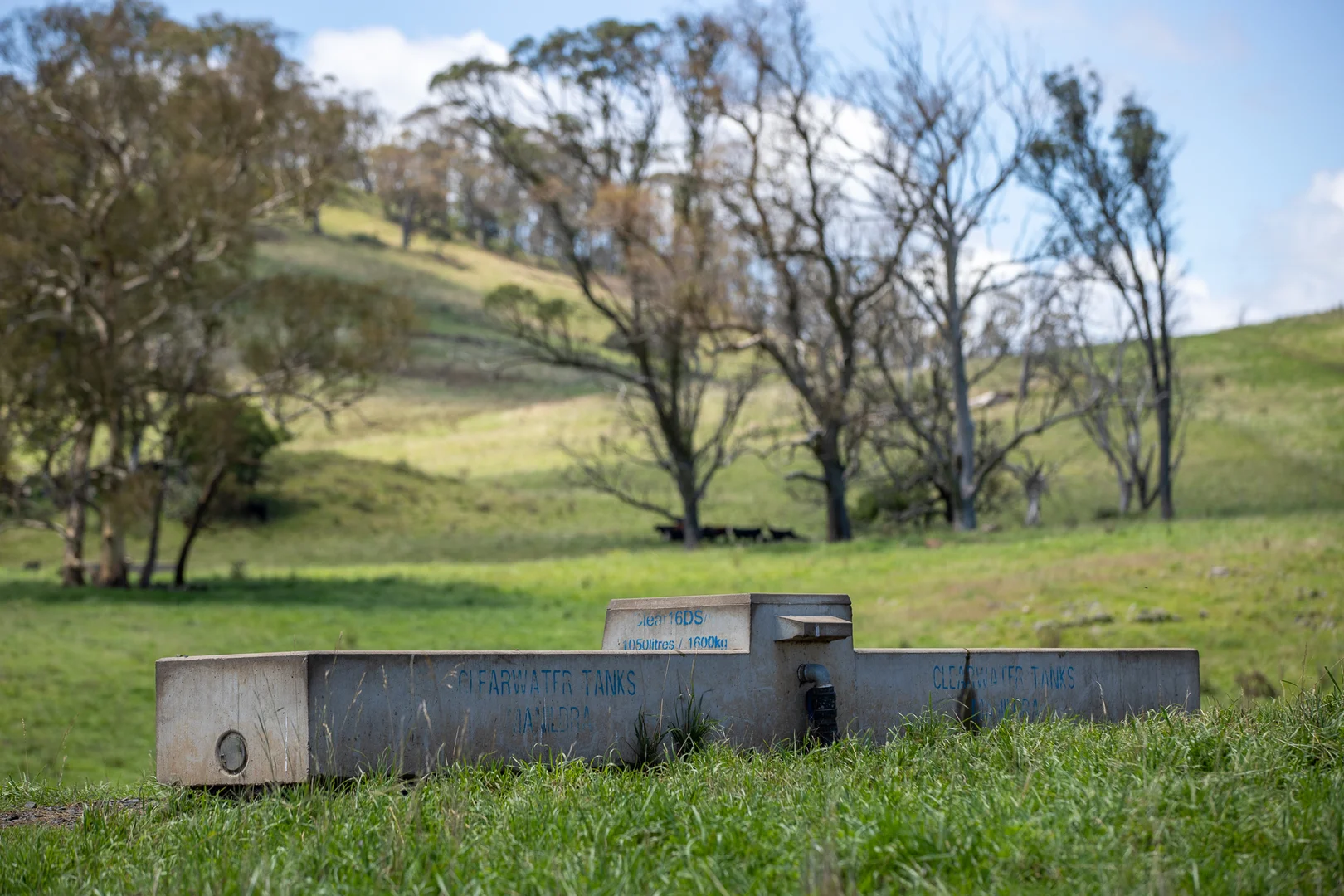 Additional image 26 of 1763 Wongwibinda Road, Armidale NSW 2350