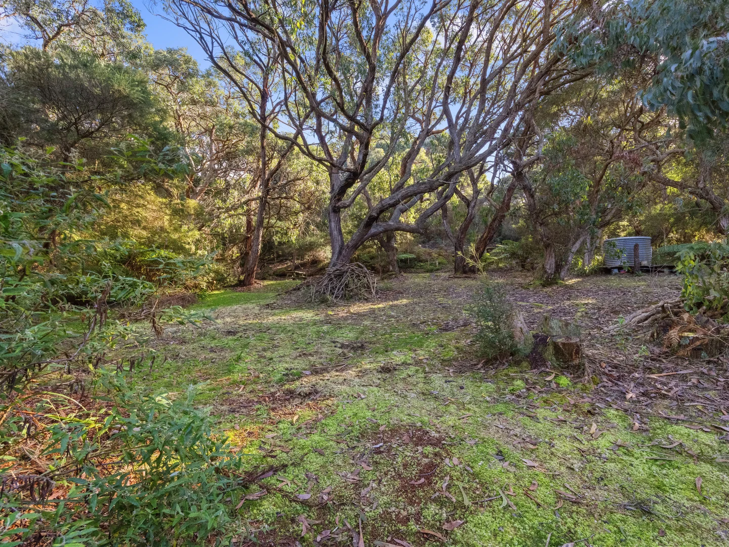 Additional image 8 of 15 Caringal Street, Waratah Bay VIC 3959