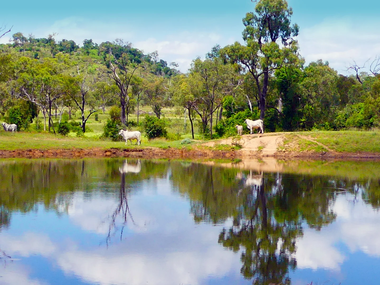 Additional image 13 of "Jacques " 0 Cunningham Road,, Nine Mile QLD 4702