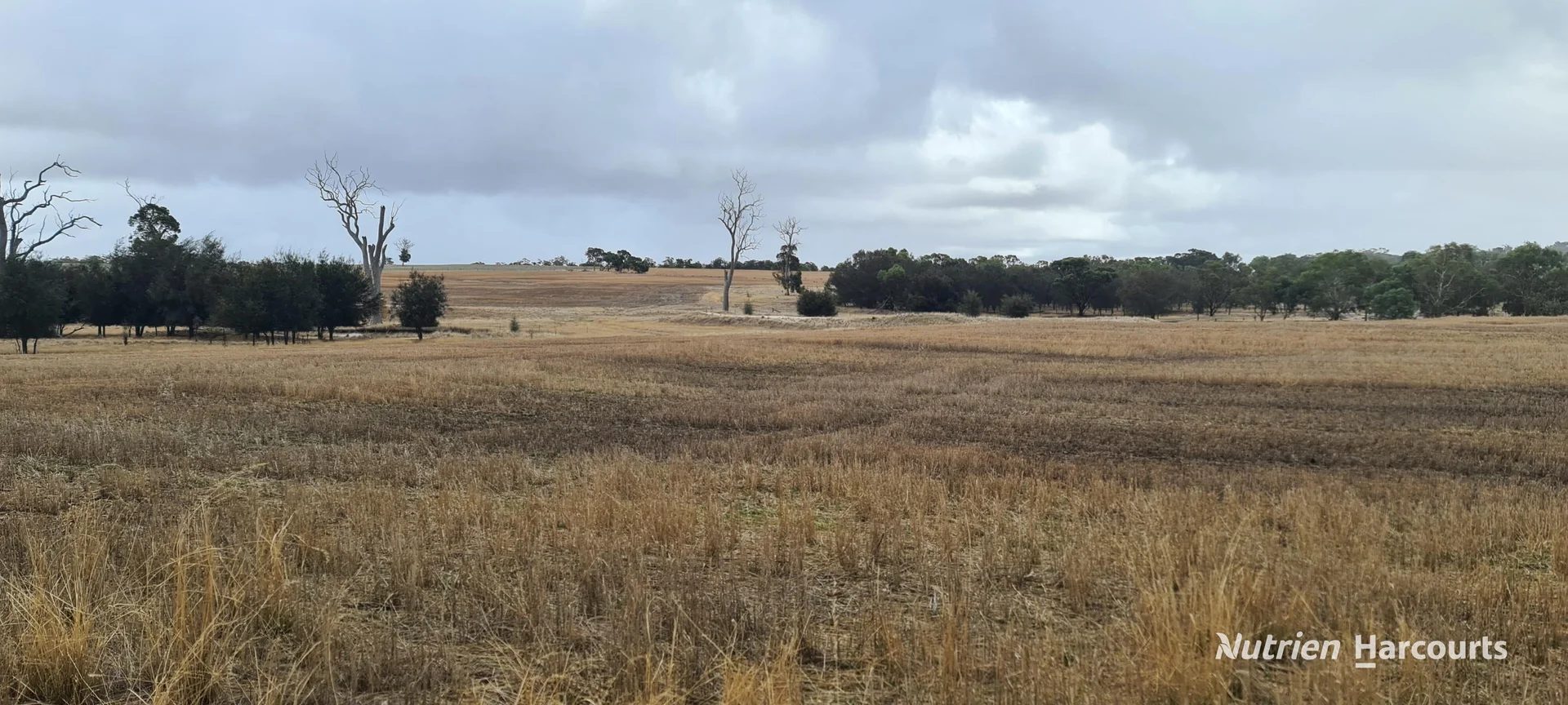 Additional image 16 of Lot 347 Yarralena Road, Cranbrook WA 6321