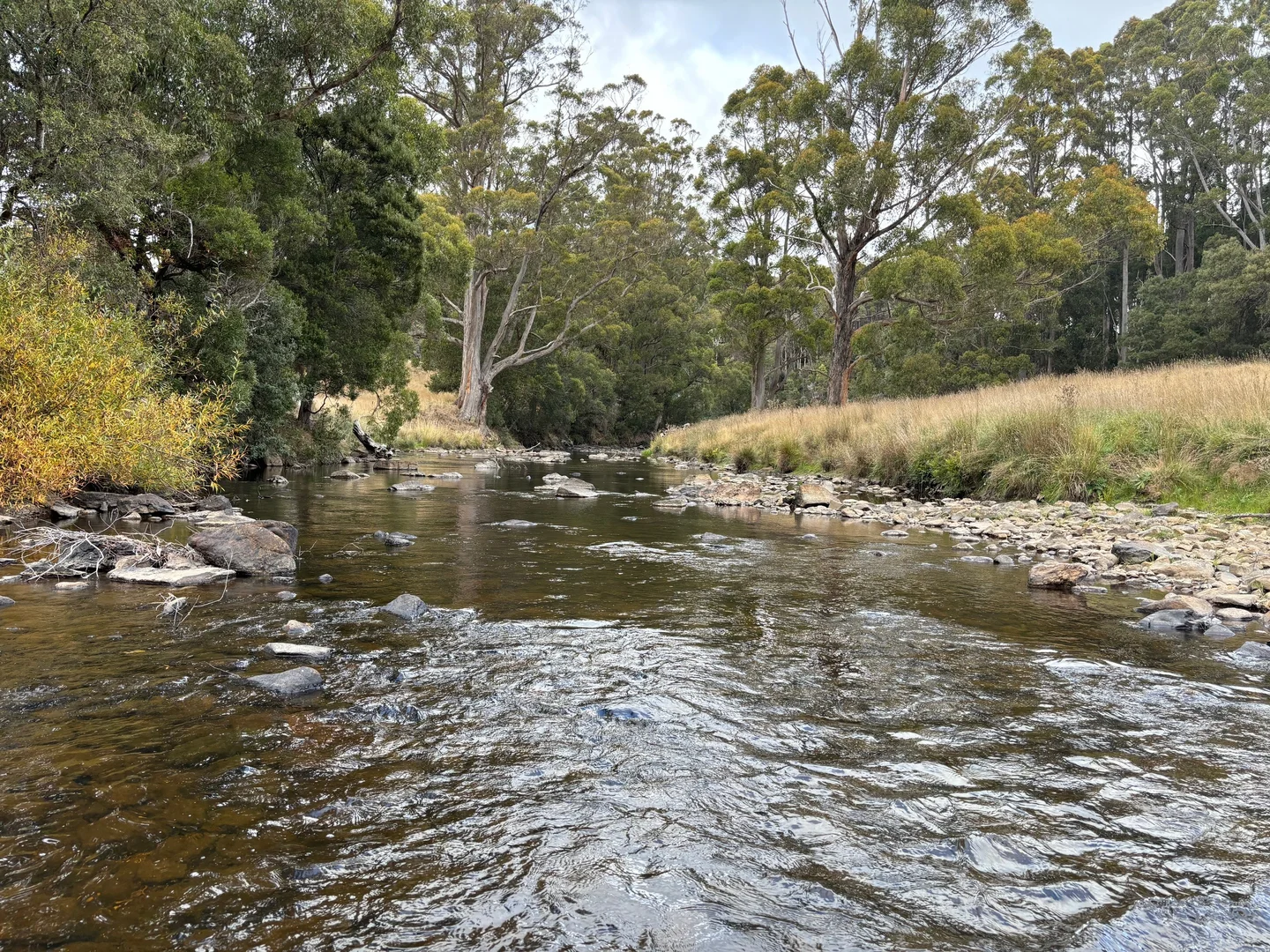 Additional image 6 of 86 Rothwells Road, Sisters Creek TAS 7325