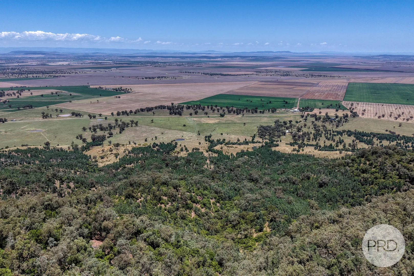 Additional image 10 of 1007 Barnbrook Road, Werris Creek NSW 2341