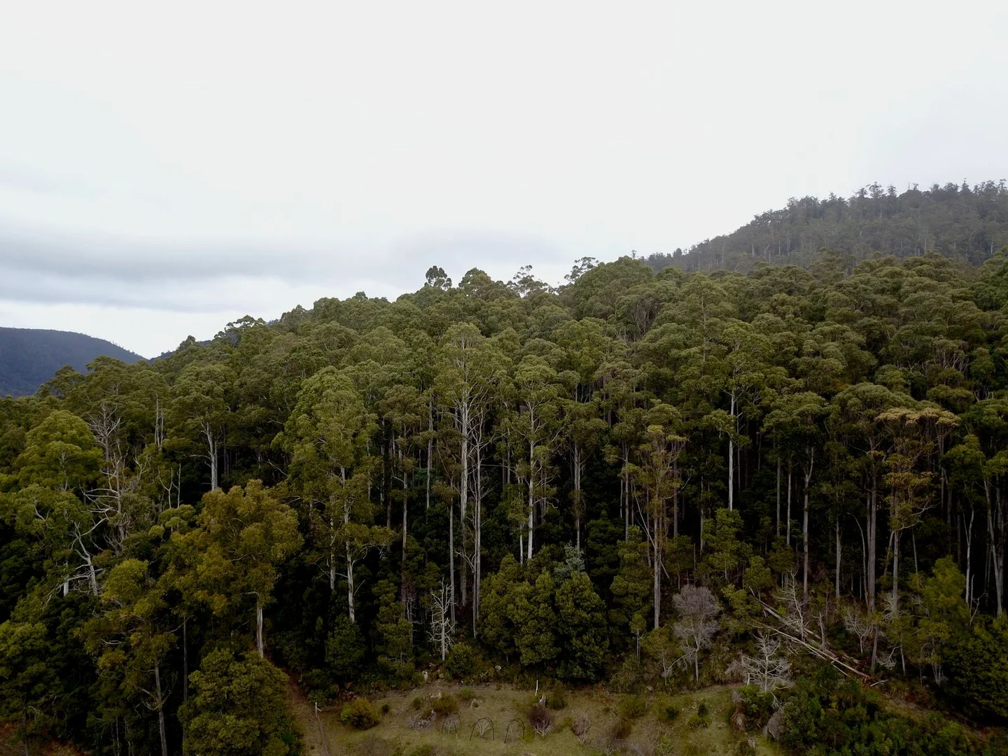 Additional image 3 of 400 Olivers Road, Liena TAS 7304