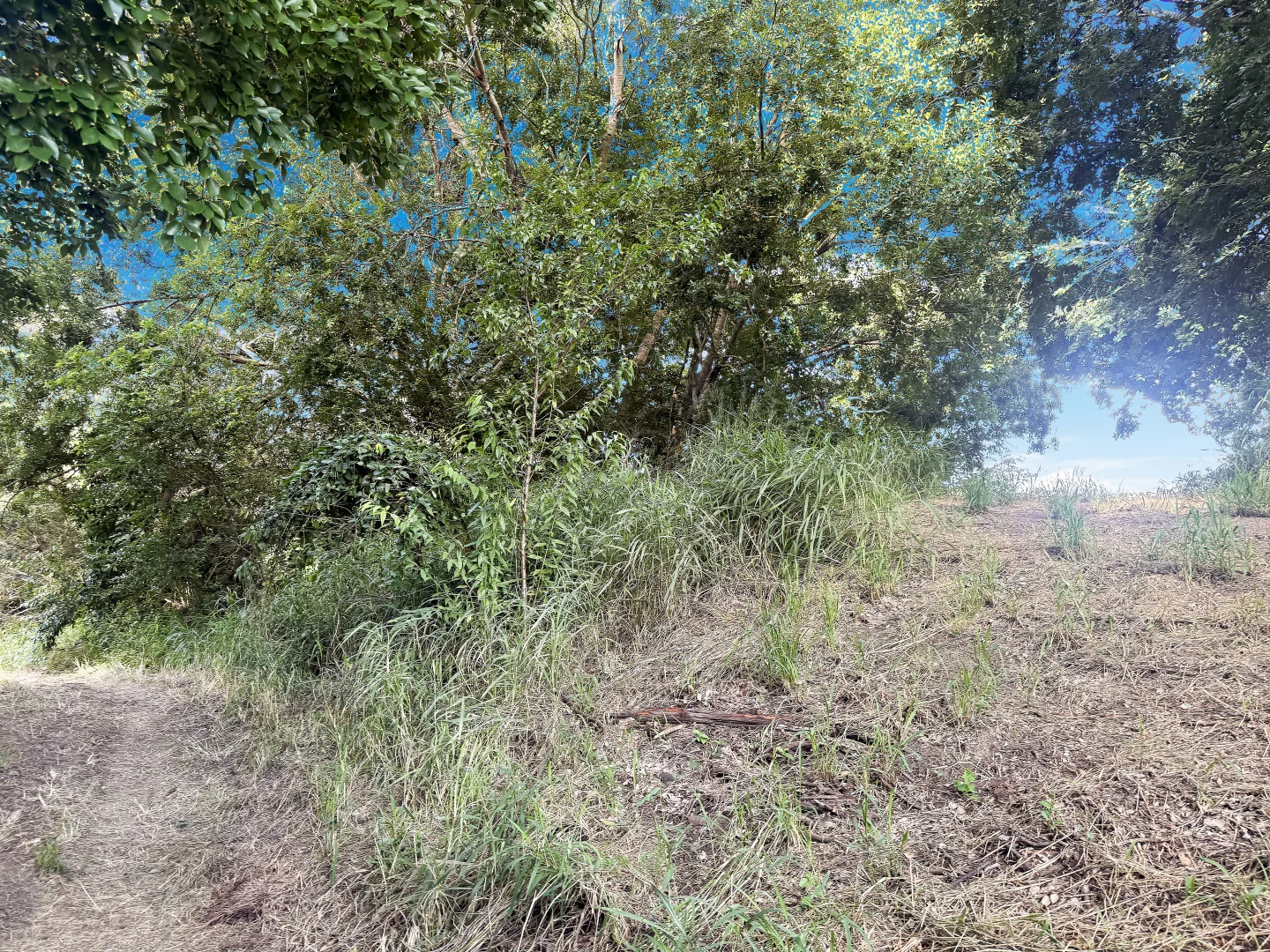 Additional image 7 of Burnett Highway, Goomeri QLD 4601