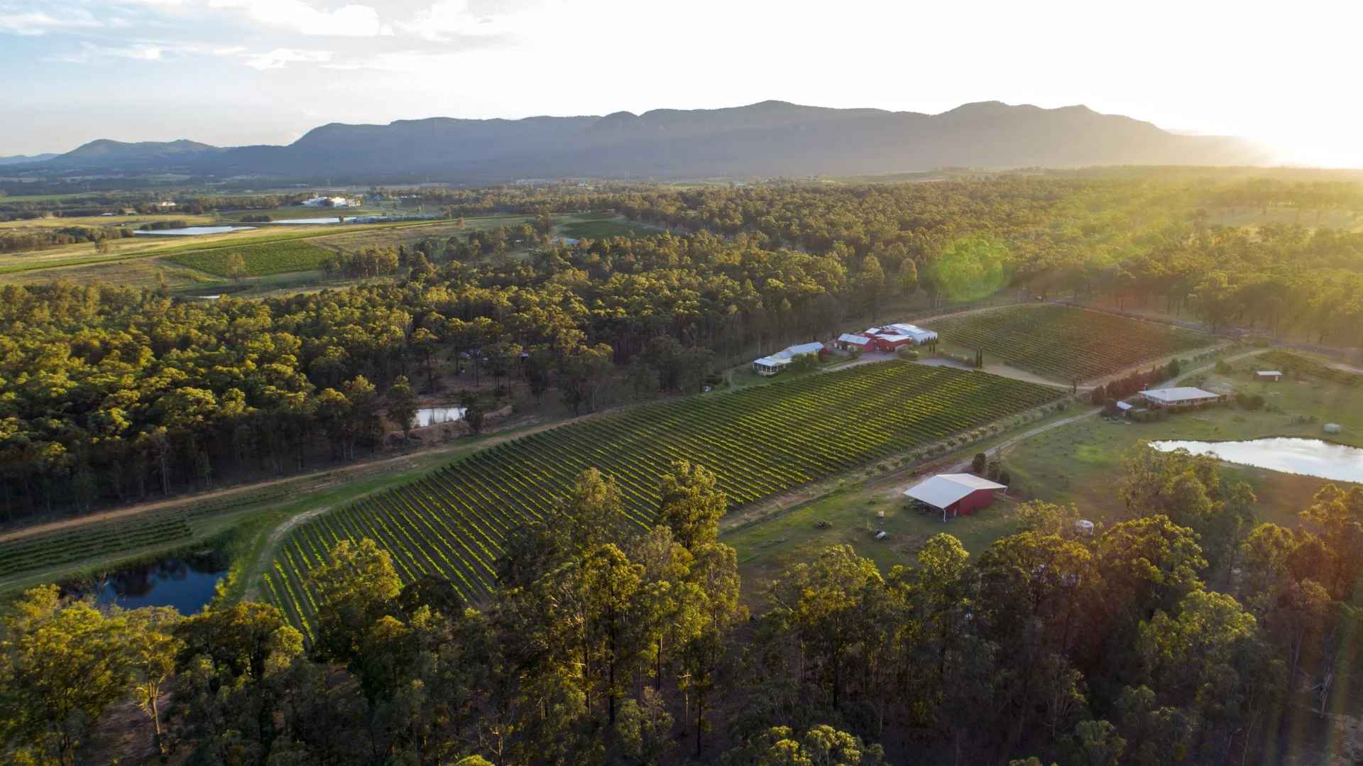 725 Hermitage Road, Pokolbin NSW 2320