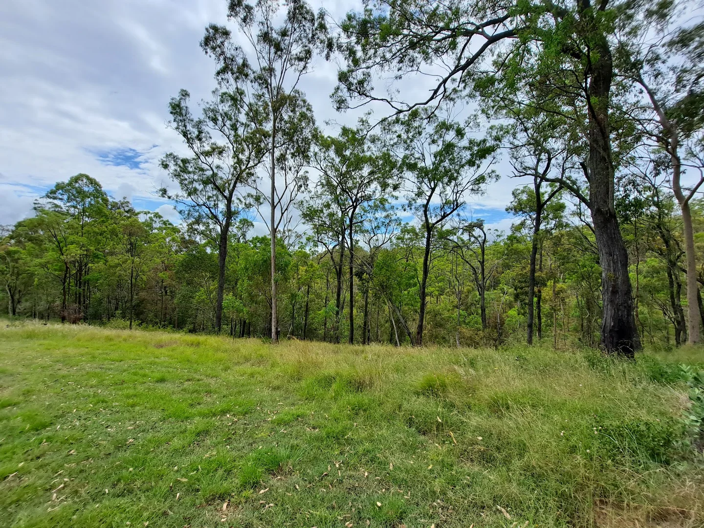 Additional image 31 of 1598 Kavanaghs Road, Ravensbourne QLD 4352
