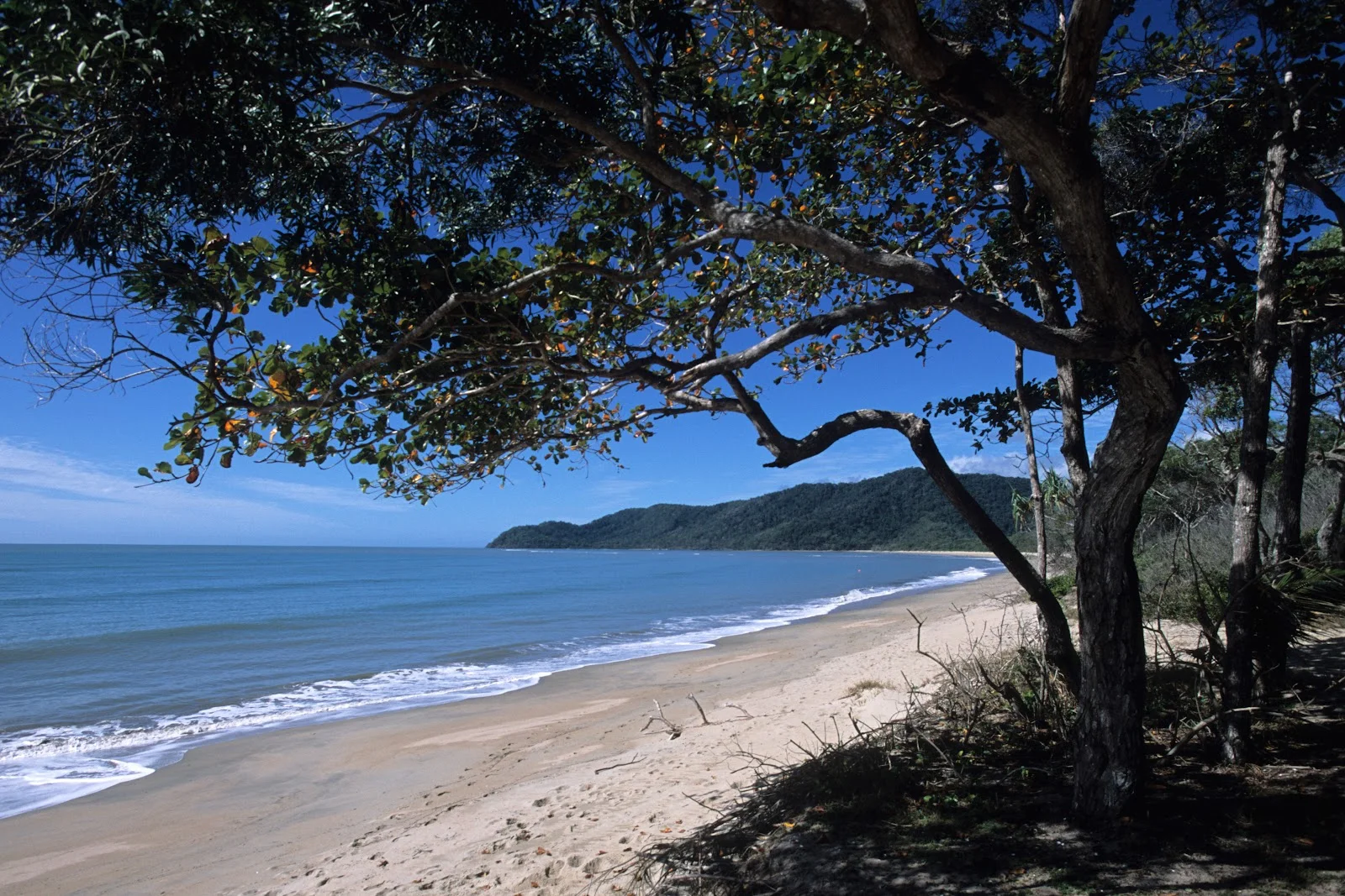 Additional image 4 of 23 Third Street, Bloomfield QLD 4895