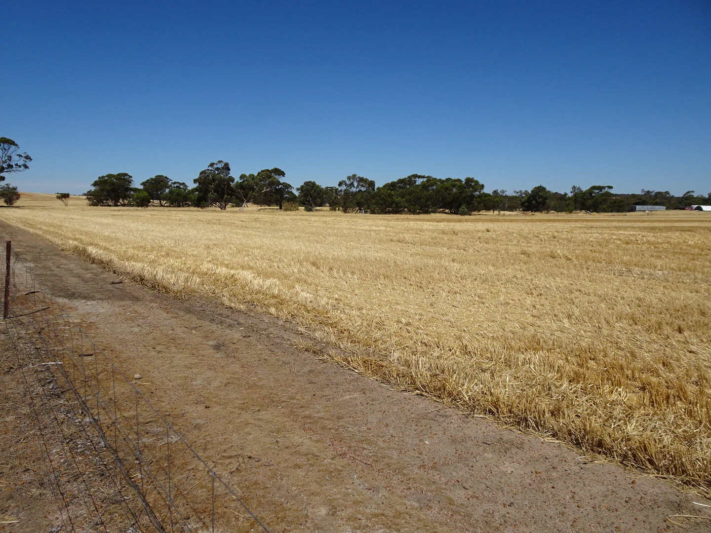 Additional image 2 of 747 Yenellin Road, East Pingelly WA 6308