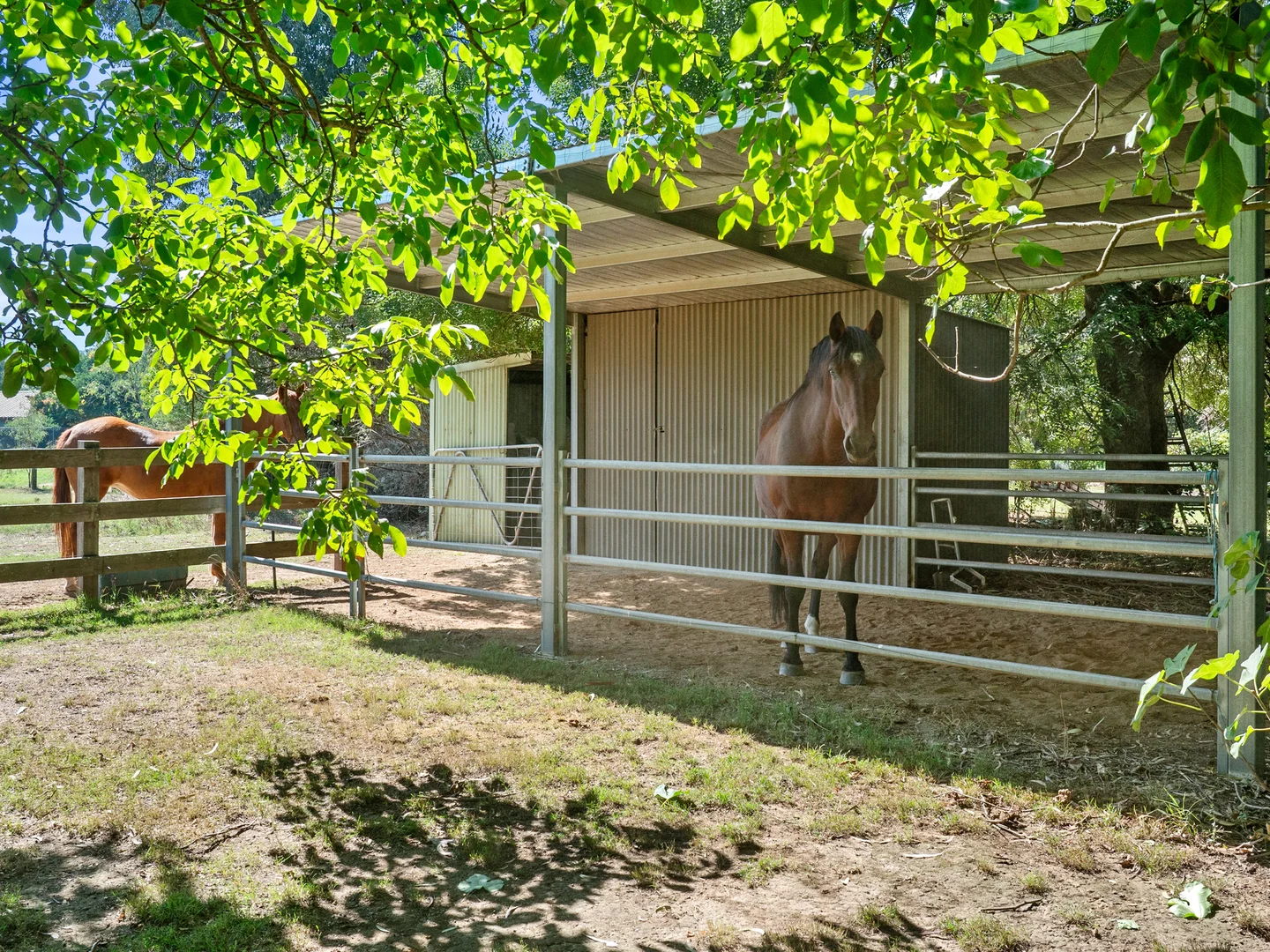 Additional image 22 of 8 Anna Lane, Myrtleford VIC 3737