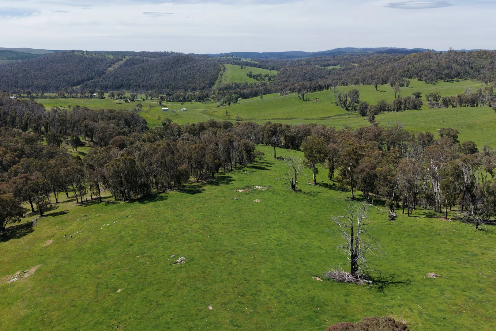 Additional image 3 of 954 Courabyra Road, Tumbarumba NSW 2653