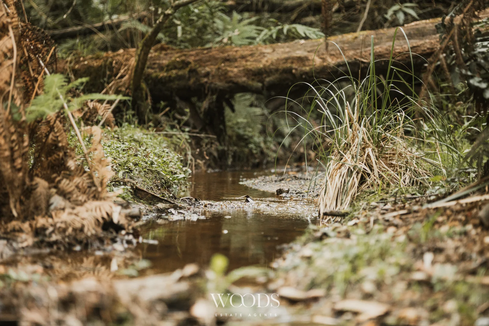 Additional image 15 of 38 Amphlett Avenue, Cockatoo VIC 3781