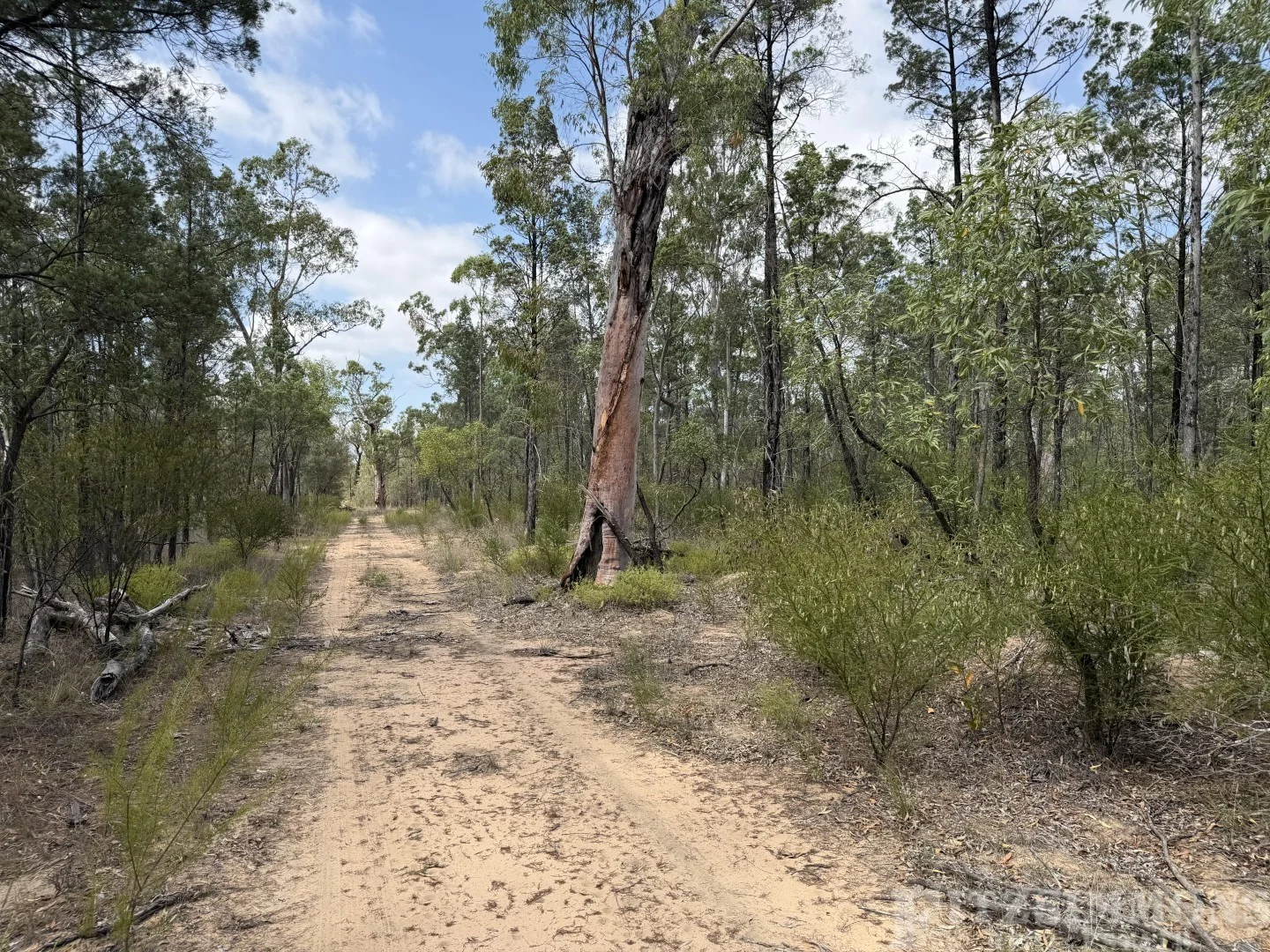 Additional image 12 of 25 Bulloak Drive, Dalby QLD 4405