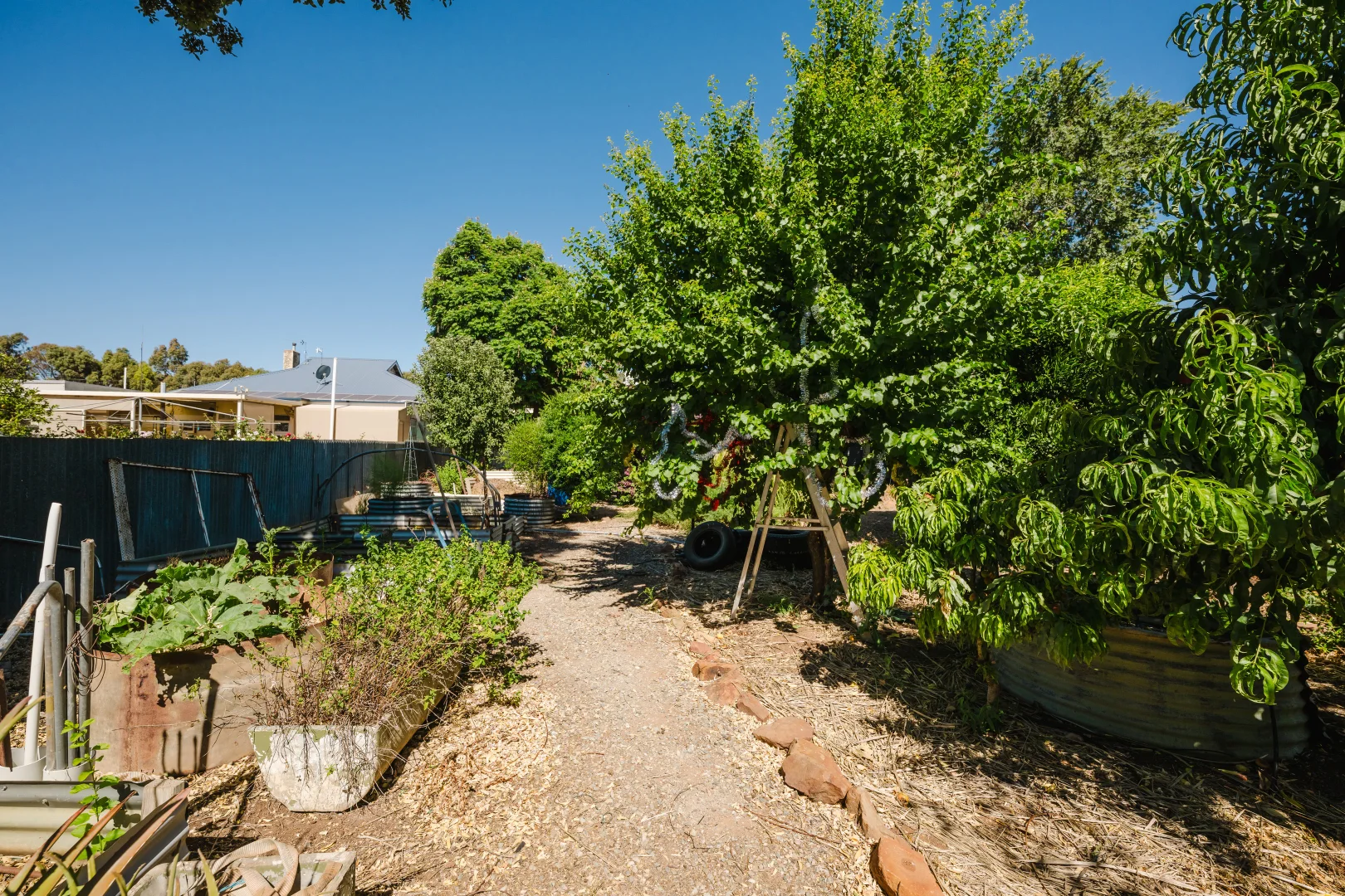 Additional image 22 of 25 East Tce, Booborowie SA 5417