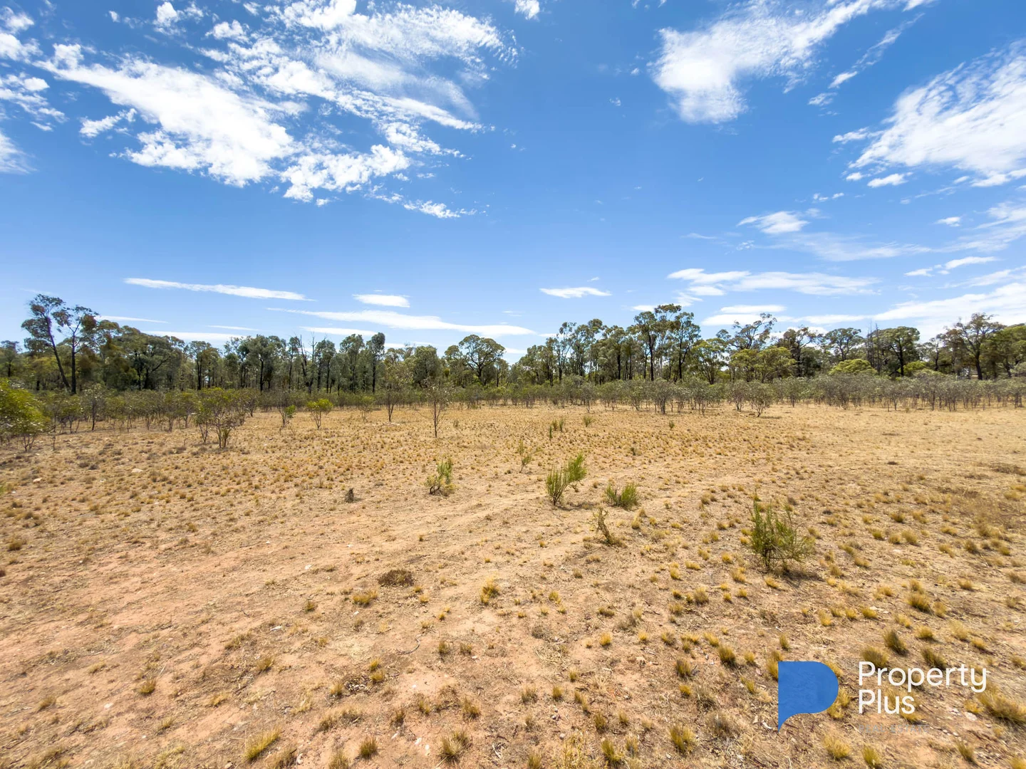 Additional image 4 of 81 Smiths Road, Bealiba VIC 3475
